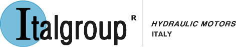ITALGROUP logo